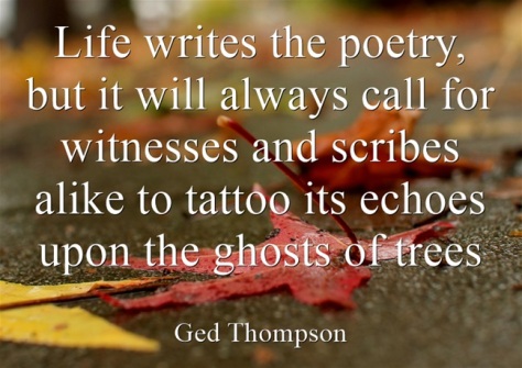 life-writes-the-poetry